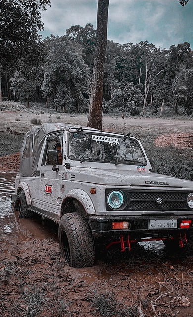 灰熊队的挣 灰熊队的挣