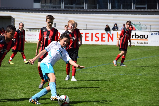 的雪国世界 的雪国世界