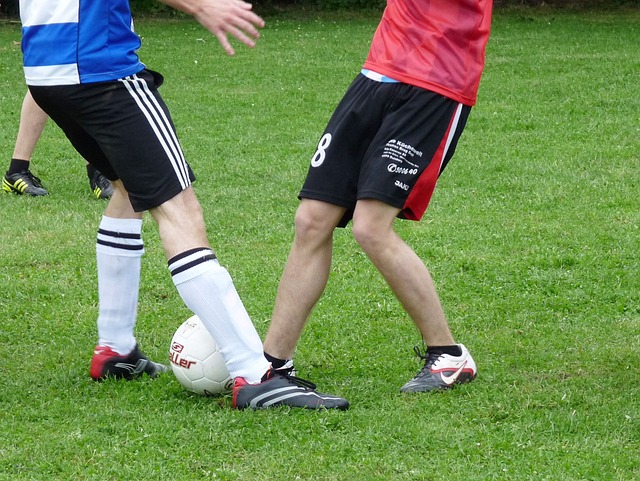 无论是篮球 无论是篮球