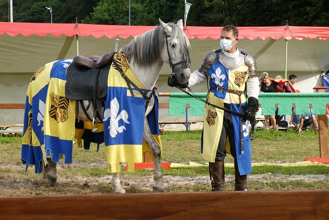 煌职业生涯 煌职业生涯