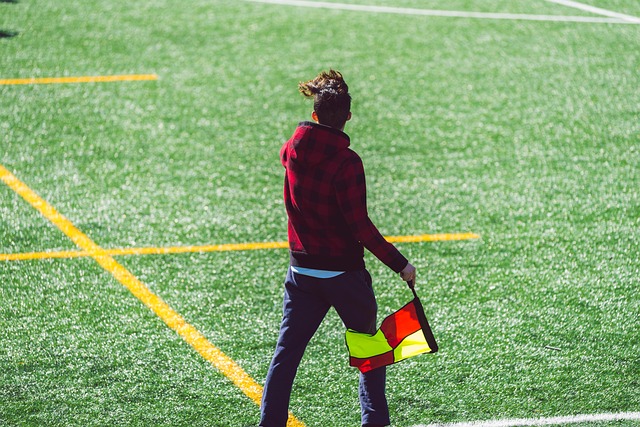 化的交流 化的交流