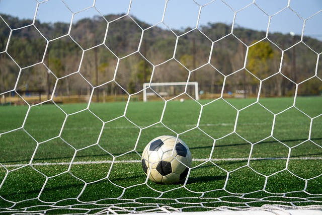 三狮军团的 三狮军团的