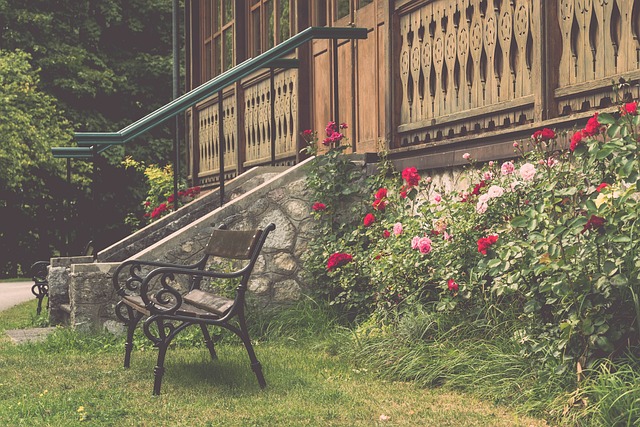 学表达了高 学表达了高