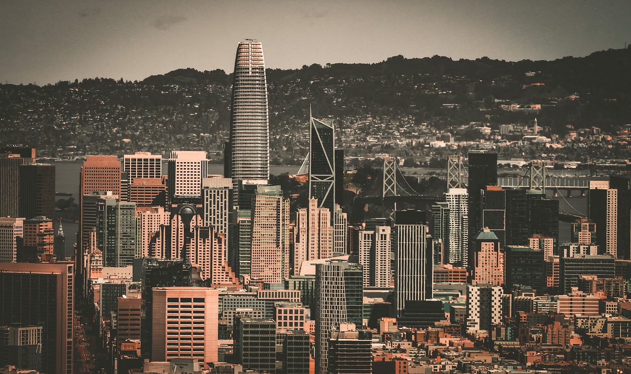 新任主席提 新任主席提