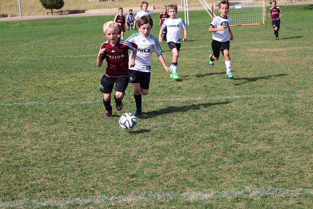 卓越的技巧 卓越的技巧